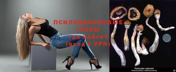 a pvp Володарск