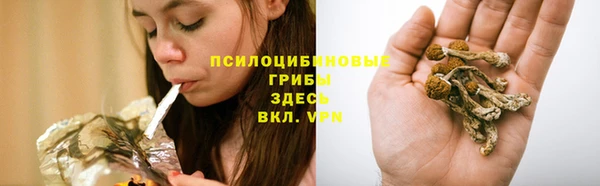 a pvp Володарск