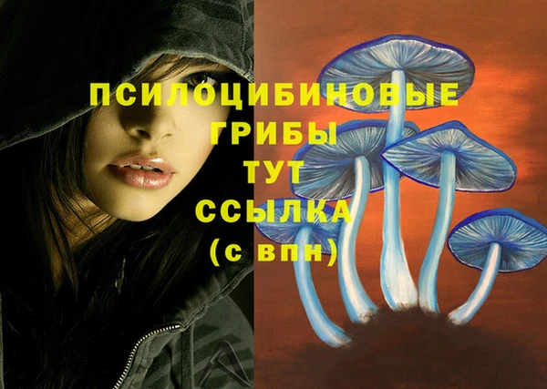 наркотики Волосово