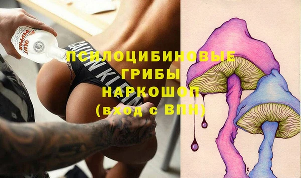 a pvp Володарск