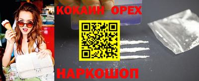 гашик Донской