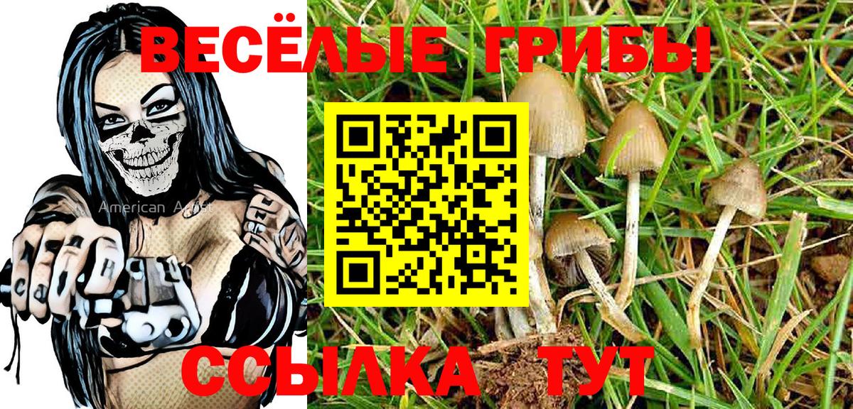 Псилоцибиновые грибы Psilocybe  Галлюциногенные грибы Magic Shrooms  Медногорск 