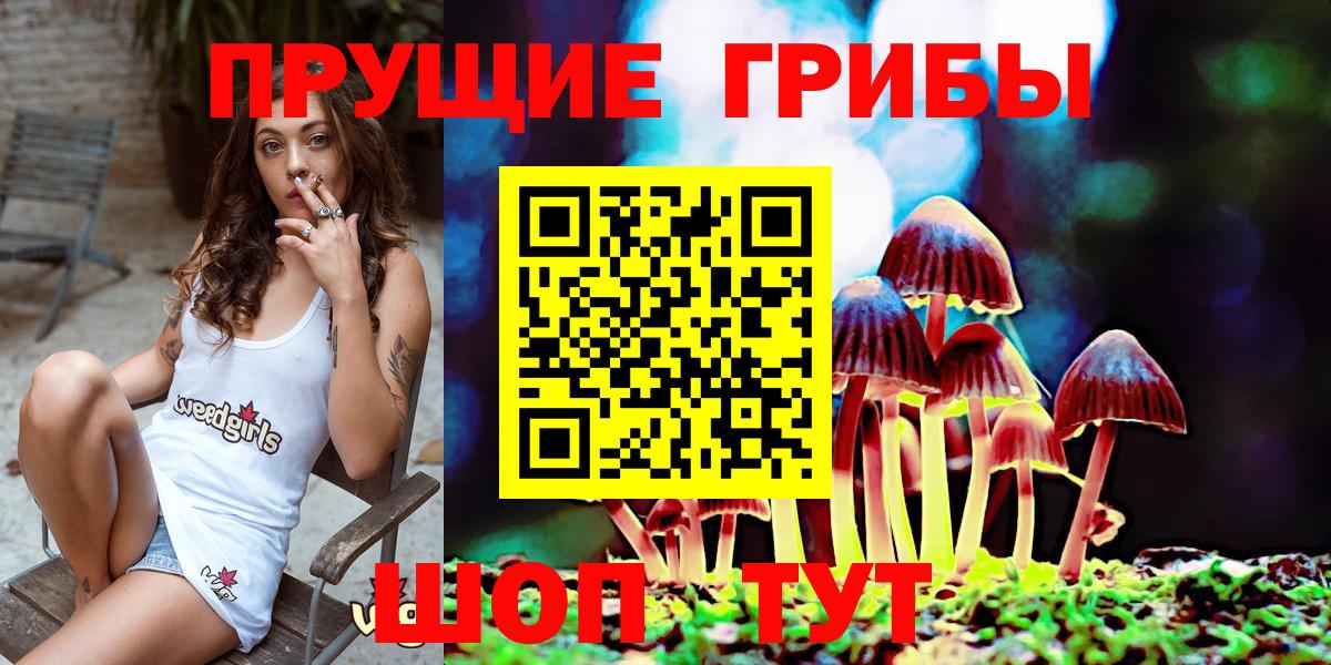 Псилоцибиновые грибы GOLDEN TEACHER  Вход с VPN  Псилоцибиновые грибы Psilocybine cubensis  Медногорск 